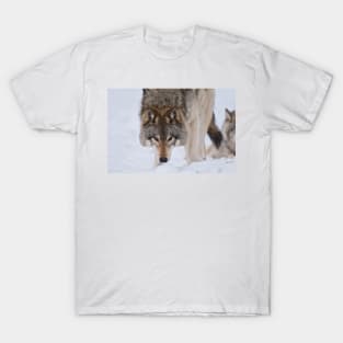 Timber Wolves T-Shirt